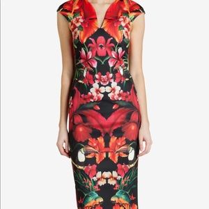 Ted Baker cap sleeve tropical midi dress